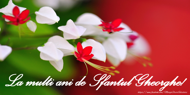 La multi ani de Sfantul Gheorghe!