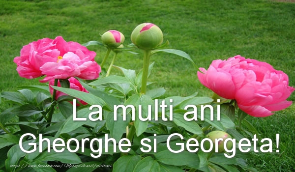 La multi ani Gheorghe si Georgeta!