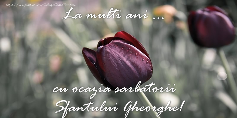 La multi ani ... cu ocazia sarbatorii Sfantului Gheorghe!