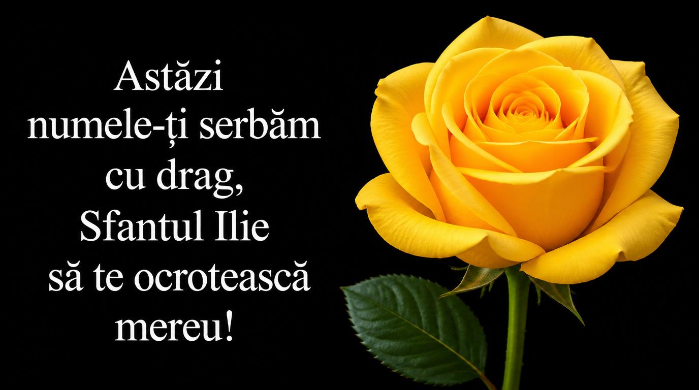 Astazi numele-ti serbam cu drag, Sfantul Ilie sa te  ocroteasca mereu! 08-07-2026