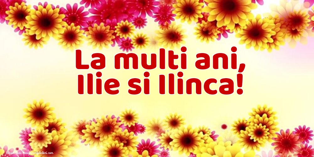 La multi ani, Ilie si Ilinca!