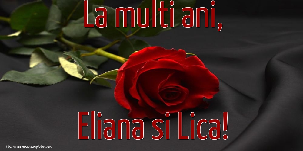 Sfantul Ilie La multi ani, Eliana si Lica!