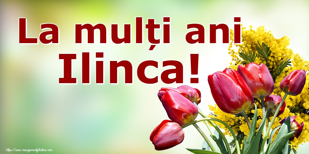 La mulți ani Ilinca!