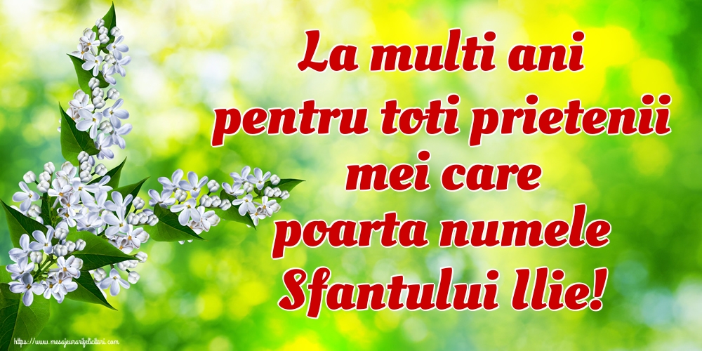 La multi ani pentru toti prietenii mei care poarta numele Sfantului Ilie!