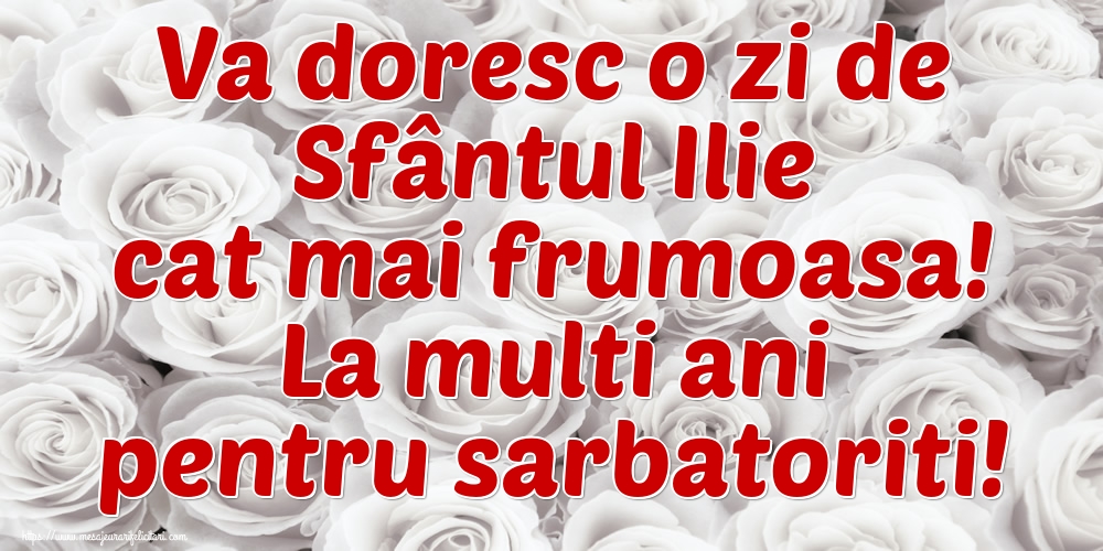 Va doresc o zi de Sfântul Ilie cat mai frumoasa! La multi ani pentru sarbatoriti!
