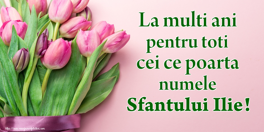 La multi ani pentru toti cei ce poarta numele Sfantului Ilie!