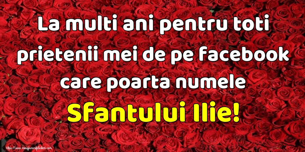 La multi ani pentru toti prietenii mei de pe facebook care poarta numele Sfantului Ilie!