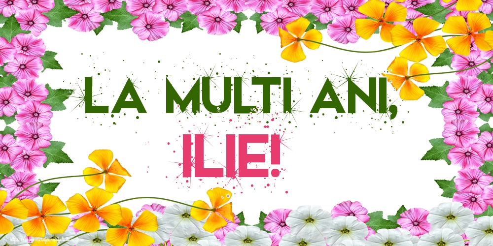 La multi ani, Ilie!