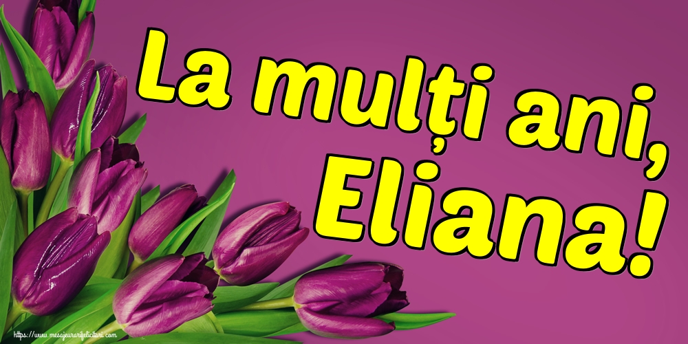 Felicitari de Sfantul Ilie - La mulți ani, Eliana! - mesajeurarifelicitari.com
