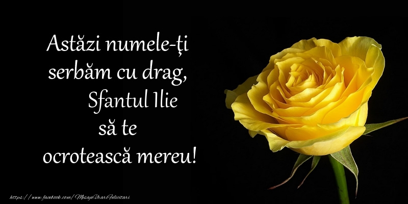 Astazi numele-ti serbam cu drag, Sfantul Ilie sa te  ocroteasca mereu!