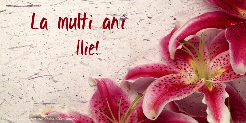 La multi ani Ilie!