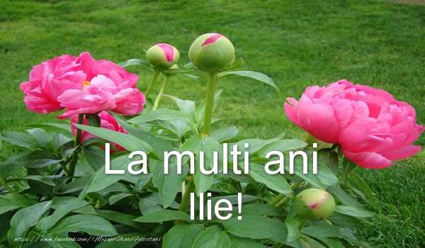 La multi ani Ilie!