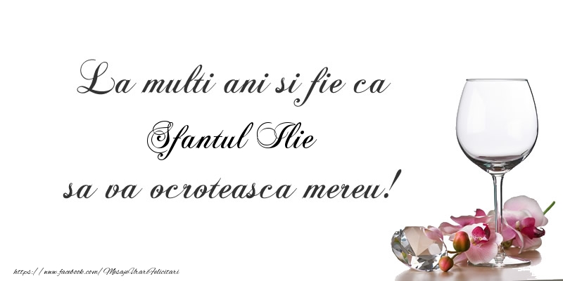 La multi ani si fie ca Sfantul Ilie sa va ocroteasca mereu!