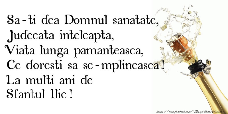Sa-ti dea Domnul sanatate, Judecata inteleapta, Viata lunga pamanteasca, Ce doresti sa se-mplineasca! La multi ani de Sfantul Ilie!