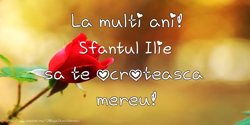 La multi ani! Sfantul Ilie sa te ocroteasca mereu!