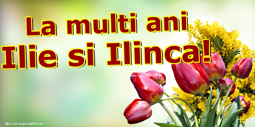 La multi ani Ilie si Ilinca!