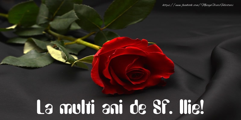 La multi ani de Sf. Ilie!