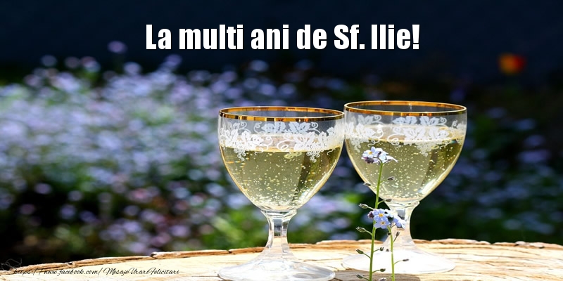 La multi ani de Sf. Ilie!