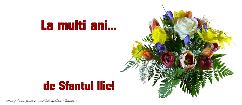 La multi ani... de Sfantul Ilie!