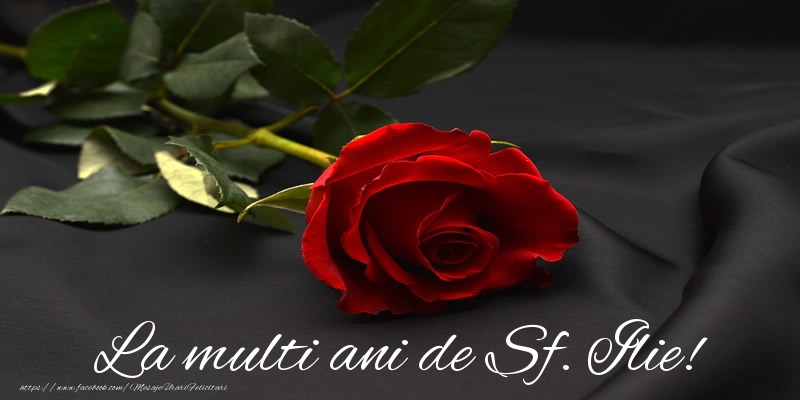 La multi ani de Sf. Ilie!