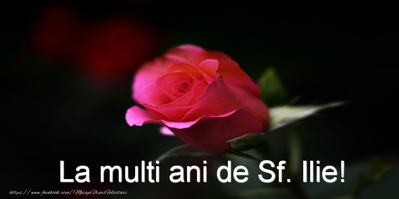 La multi ani de Sf. Ilie!