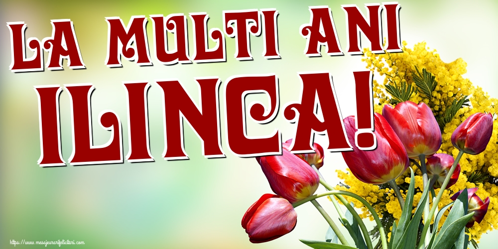 La multi ani Ilinca!