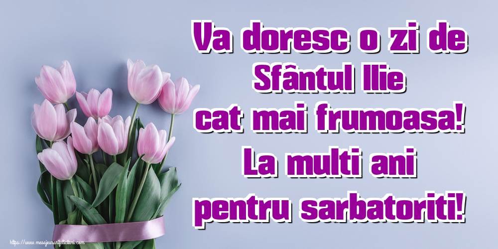 Va doresc o zi de Sfântul Ilie cat mai frumoasa! La multi ani pentru sarbatoriti!