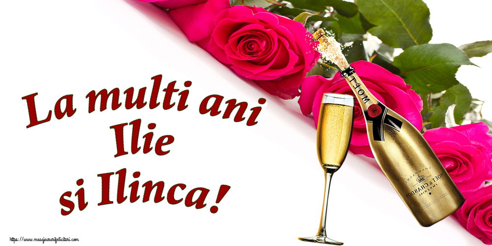 Felicitari de Sfantul Ilie - La multi ani Ilie si Ilinca! ~ șampanie cu pahar - mesajeurarifelicitari.com