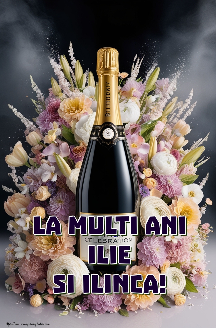 Felicitari de Sfantul Ilie - La multi ani Ilie si Ilinca! - mesajeurarifelicitari.com