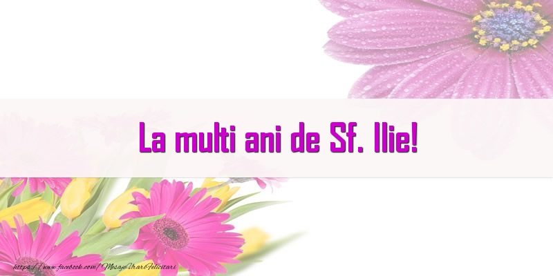 La multi ani de Sf. Ilie!