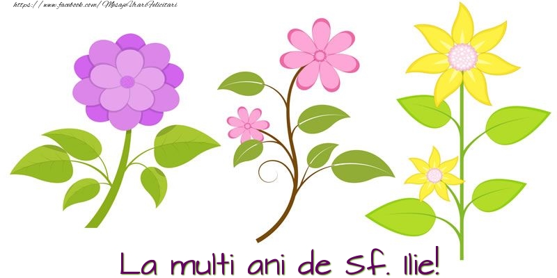 La multi ani de Sf. Ilie!