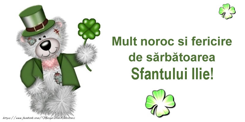Mult noroc si fericire de sarbatoarea Sfantului Ilie!