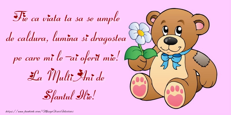 Fie ca viata ta sa se umple de caldura, lumina si dragostea pe care mi le-ai oferit mie! La Multi Ani de Sfantul Ilie!