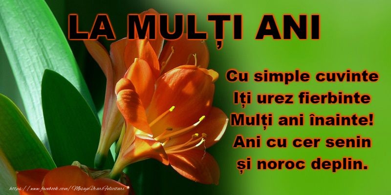 La multi ani de Sfantul Ioan!