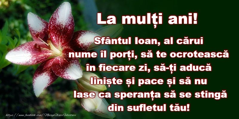 La multi ani de Sfantul Ioan!