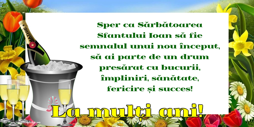 Sfantul Ioan La mulți ani!