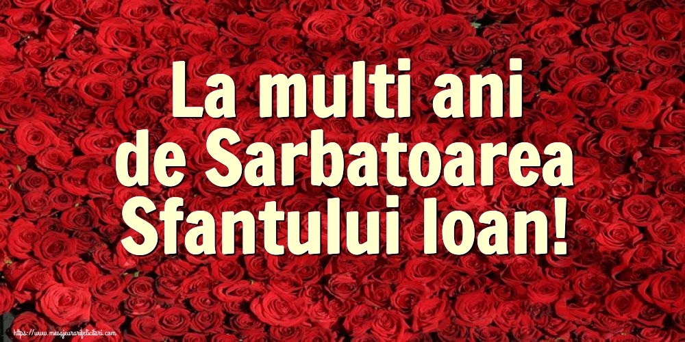 Sfantul Ioan La multi ani de Sarbatoarea Sfantului Ioan!