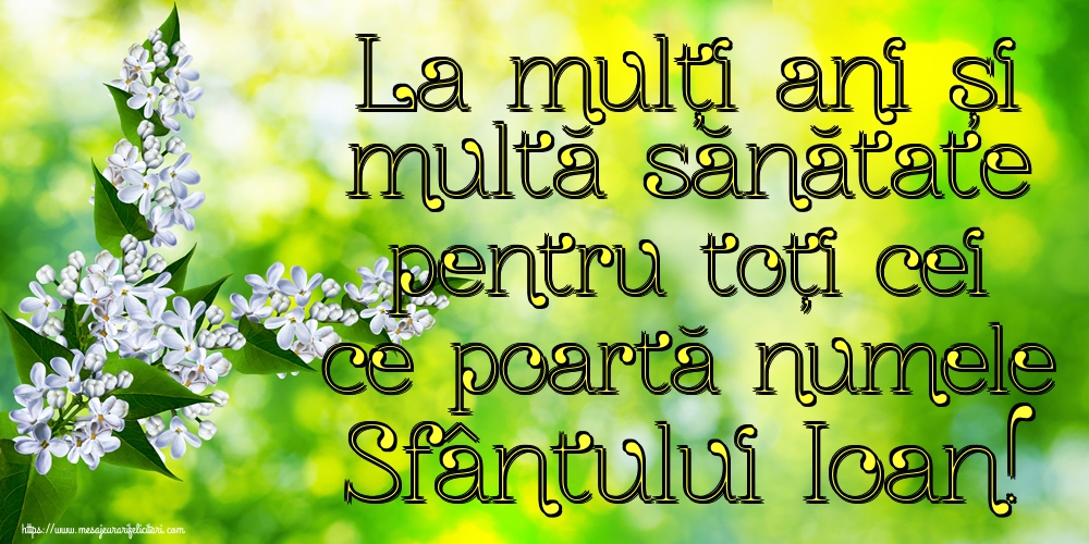 La mulți ani și multă sănătate pentru toți cei ce poartă numele Sfântului Ioan!