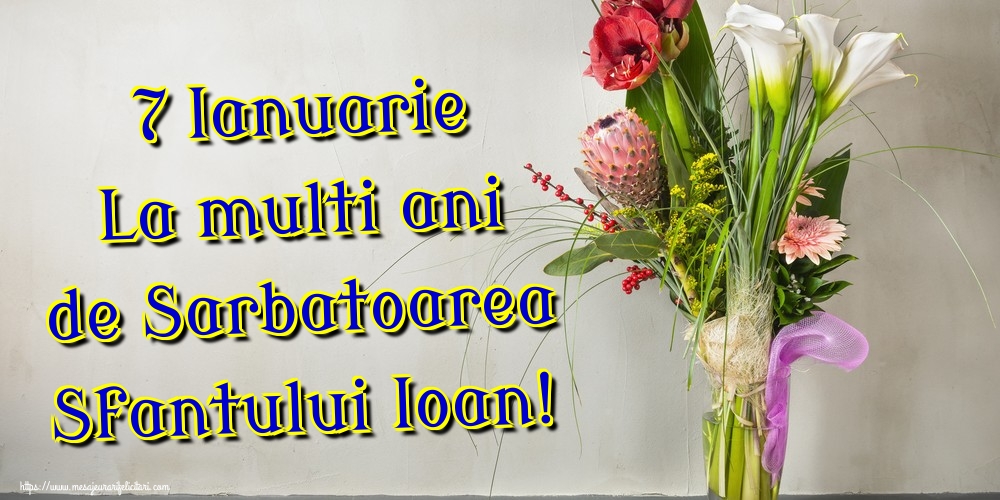 7 Ianuarie La multi ani de Sarbatoarea Sfantului Ioan!