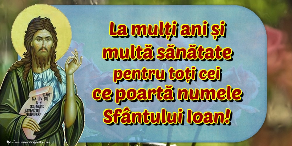 La mulți ani și multă sănătate pentru toți cei ce poartă numele Sfântului Ioan!
