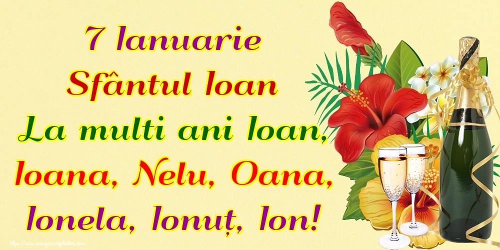 7 Ianuarie Sfântul Ioan La multi ani Ioan, Ioana, Nelu, Oana, Ionela, Ionuț, Ion!