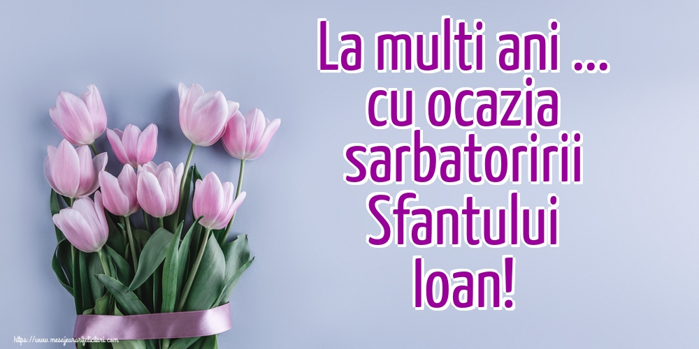 La multi ani ... cu ocazia sarbatoririi Sfantului Ioan!