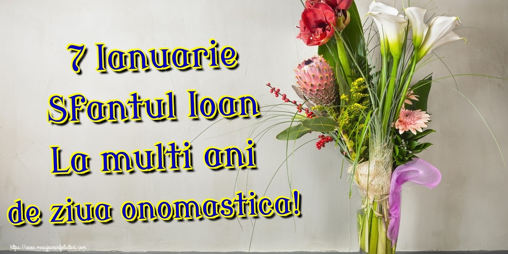 7 Ianuarie Sfantul Ioan La multi ani de ziua onomastica!