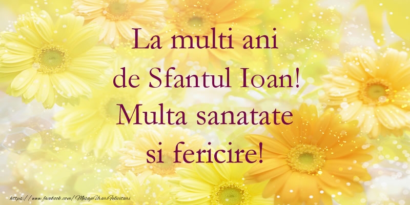 La multi ani de Sfantul Ioan! Multa sanatate si fericire!