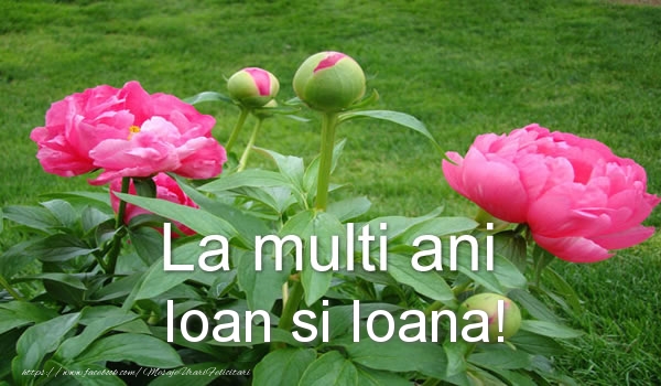 La multi ani Ioan si Ioana!