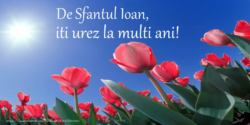 De Sfantul Ioan, iti urez La multi ani!