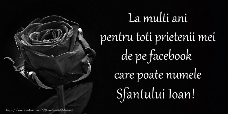 Felicitari de Sfantul Ioan - La multi ani pentru toti prietenii mei de pe facebook care poate numele Sfantului Ioan! - mesajeurarifelicitari.com