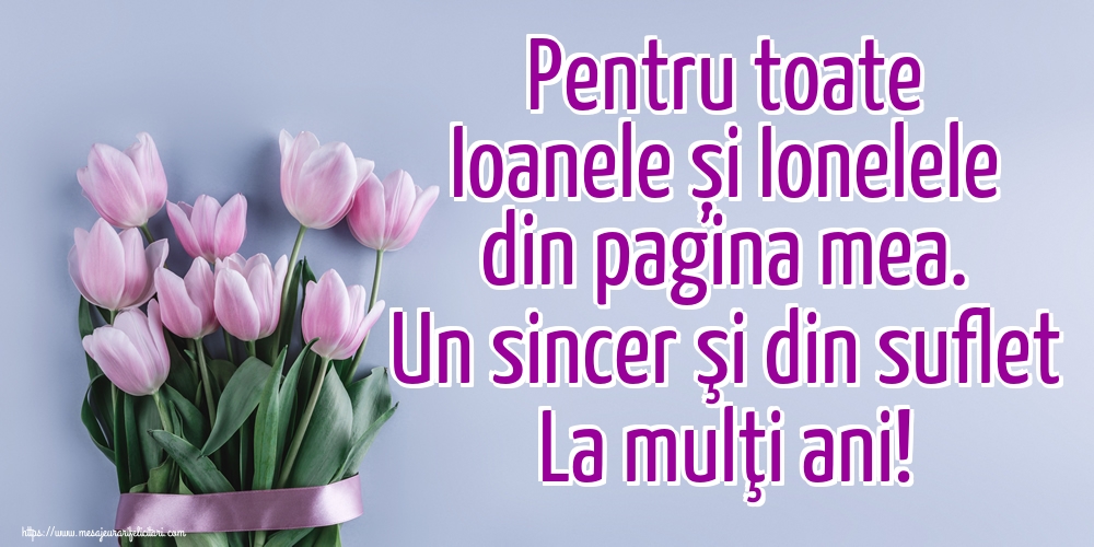 Pentru toate Ioanele și Ionelele din pagina mea. Un sincer şi din suflet La mulţi ani!