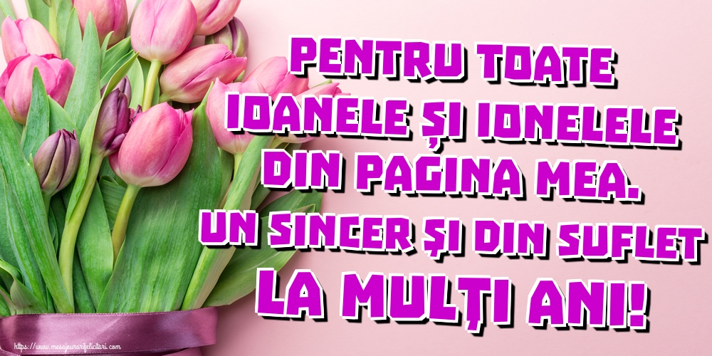 Pentru toate Ioanele și Ionelele din pagina mea. Un sincer şi din suflet La mulţi ani!