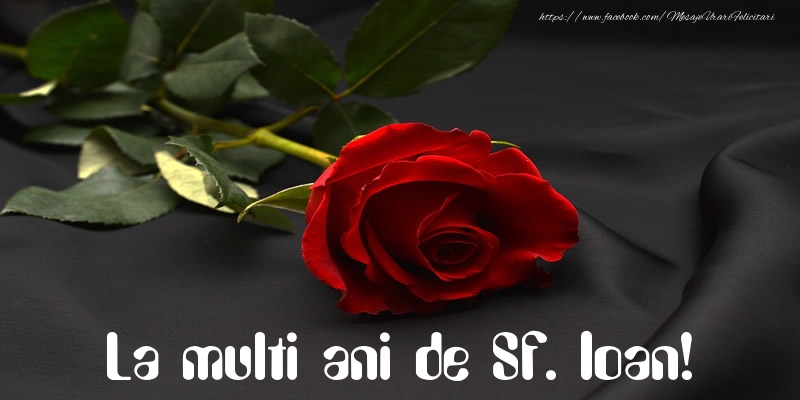 La multi ani de Sf. Ioan!